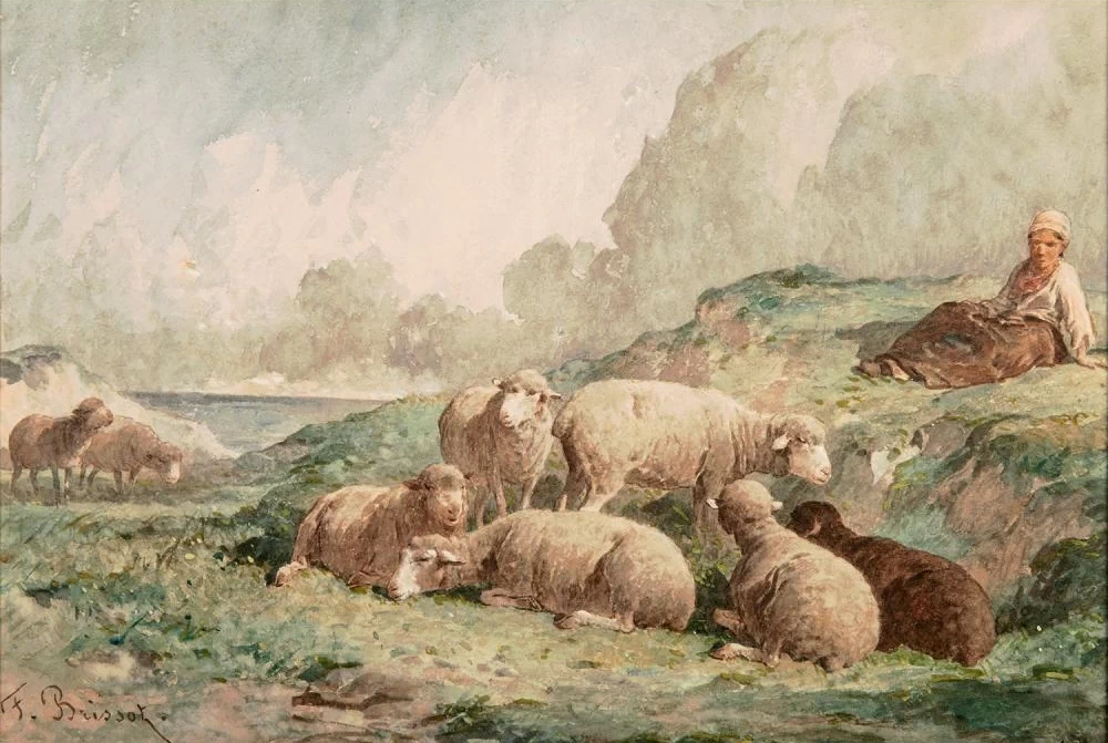 Pastore e le sue pecore lungo la costa